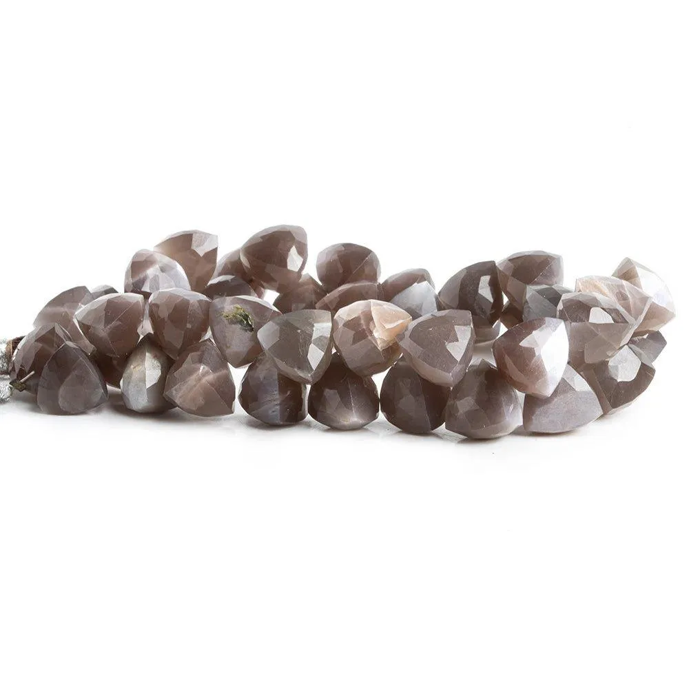 10mm-11mm Chocolate Moonstone Faceted Trillion Beads 8 inch 44 pieces