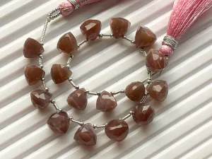 Chocolate Moonstone 3D Trillion Shape Beads