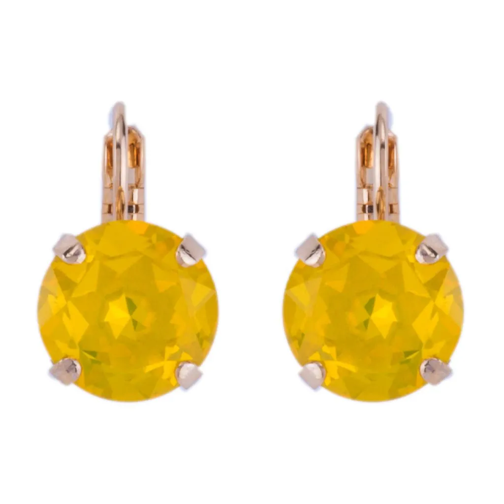 Lovable Everyday Leverback Earrings in "Fields of Gold" *Custom*