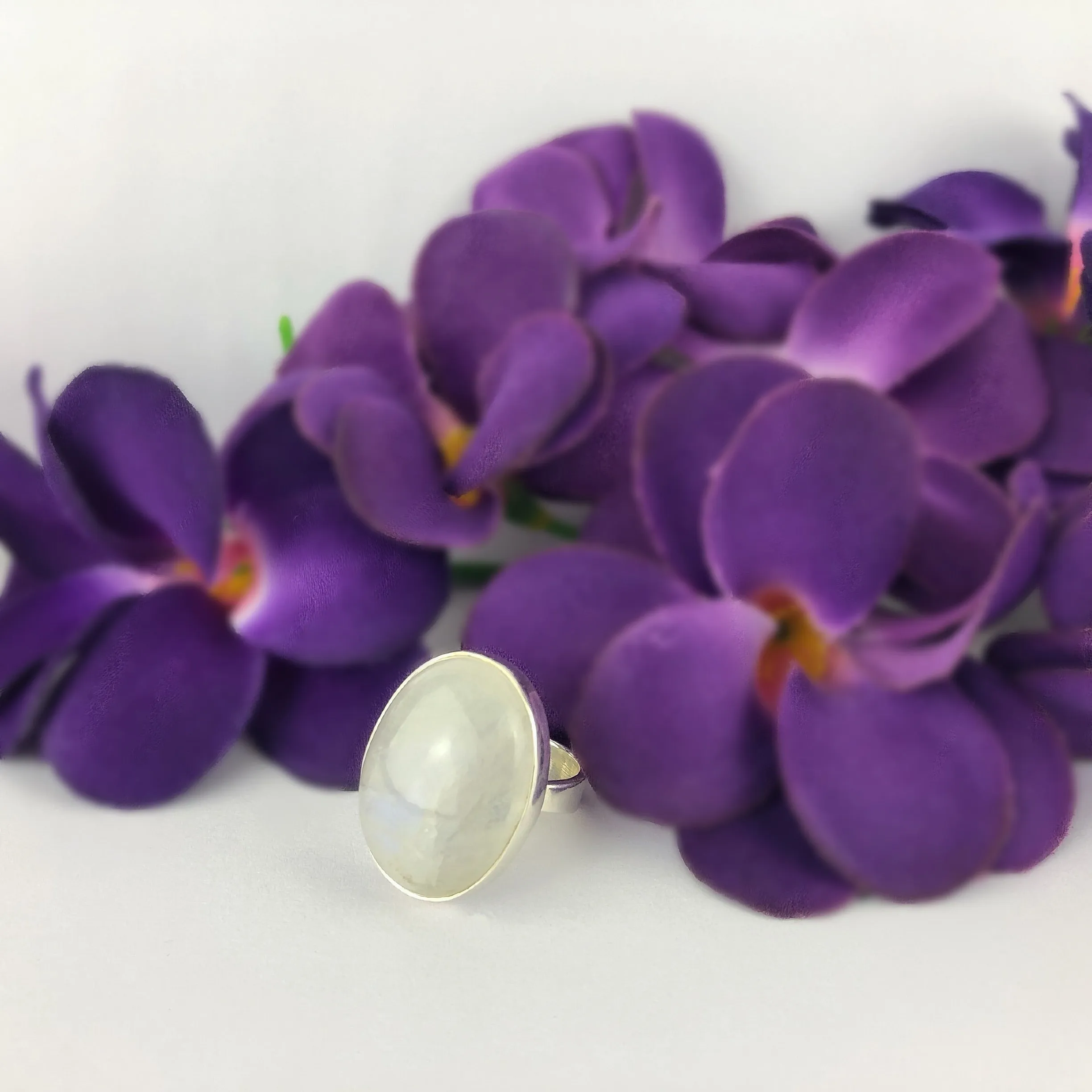 Misty Ring - VR309
