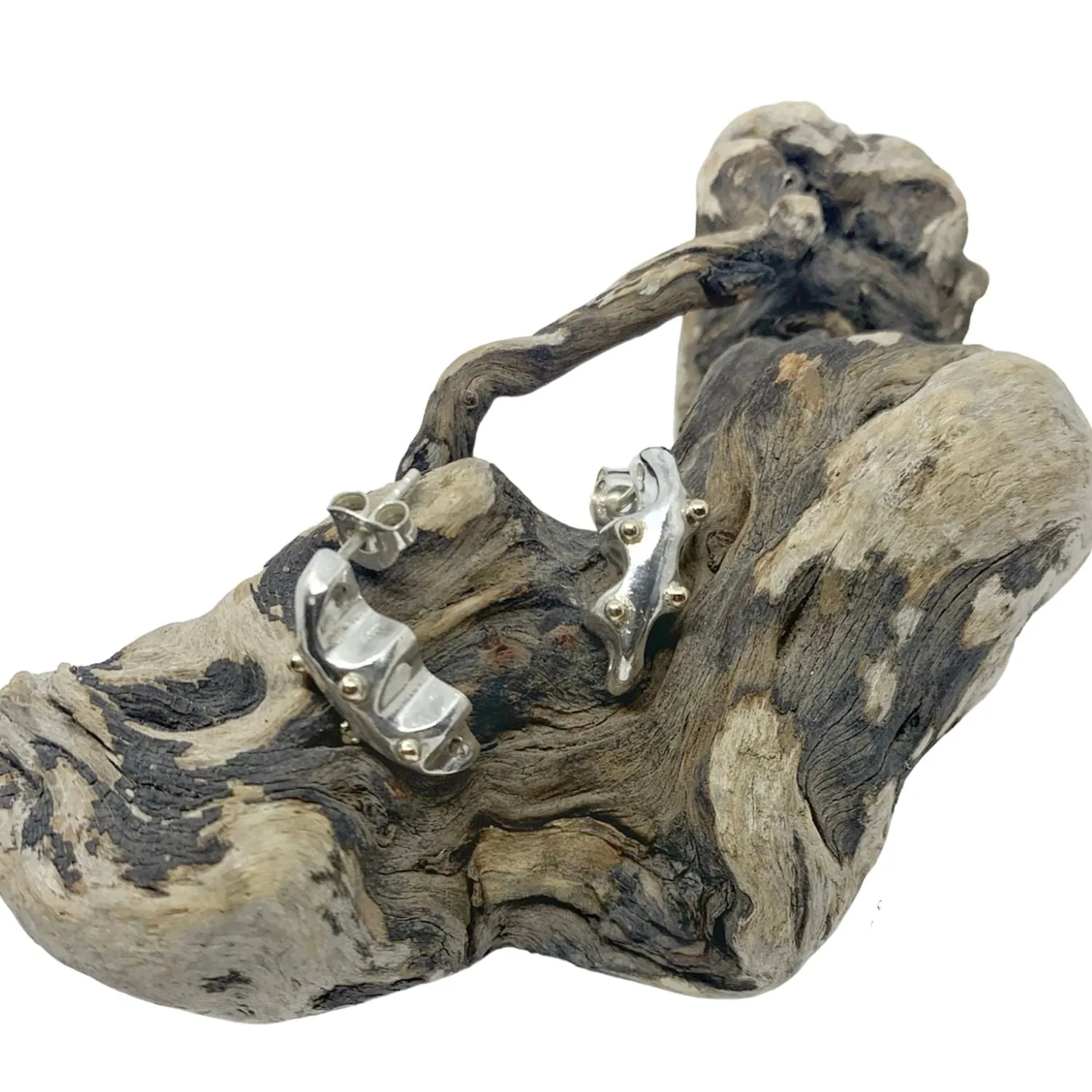 Sea Slug Stud Silver & 18K Yellow Gold