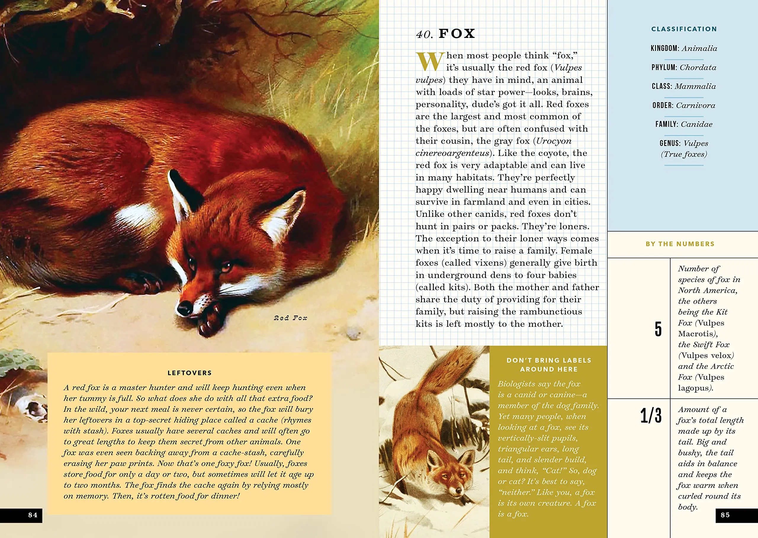 The Little Book of North American Mammals