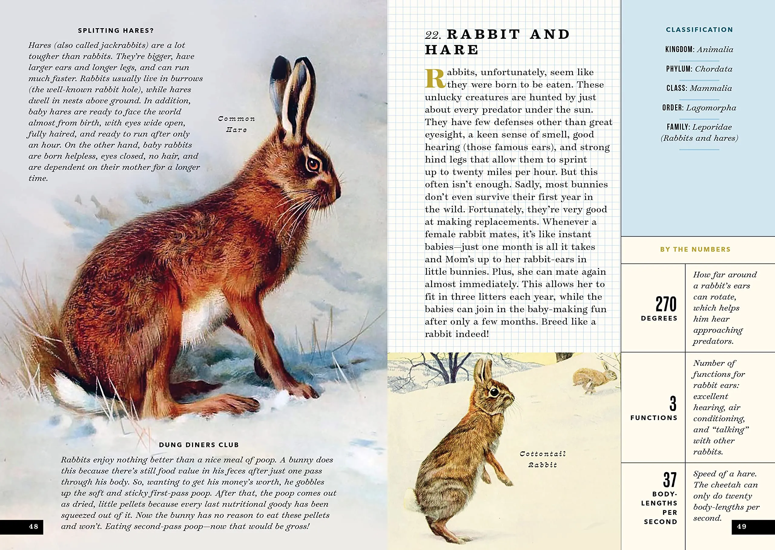 The Little Book of North American Mammals