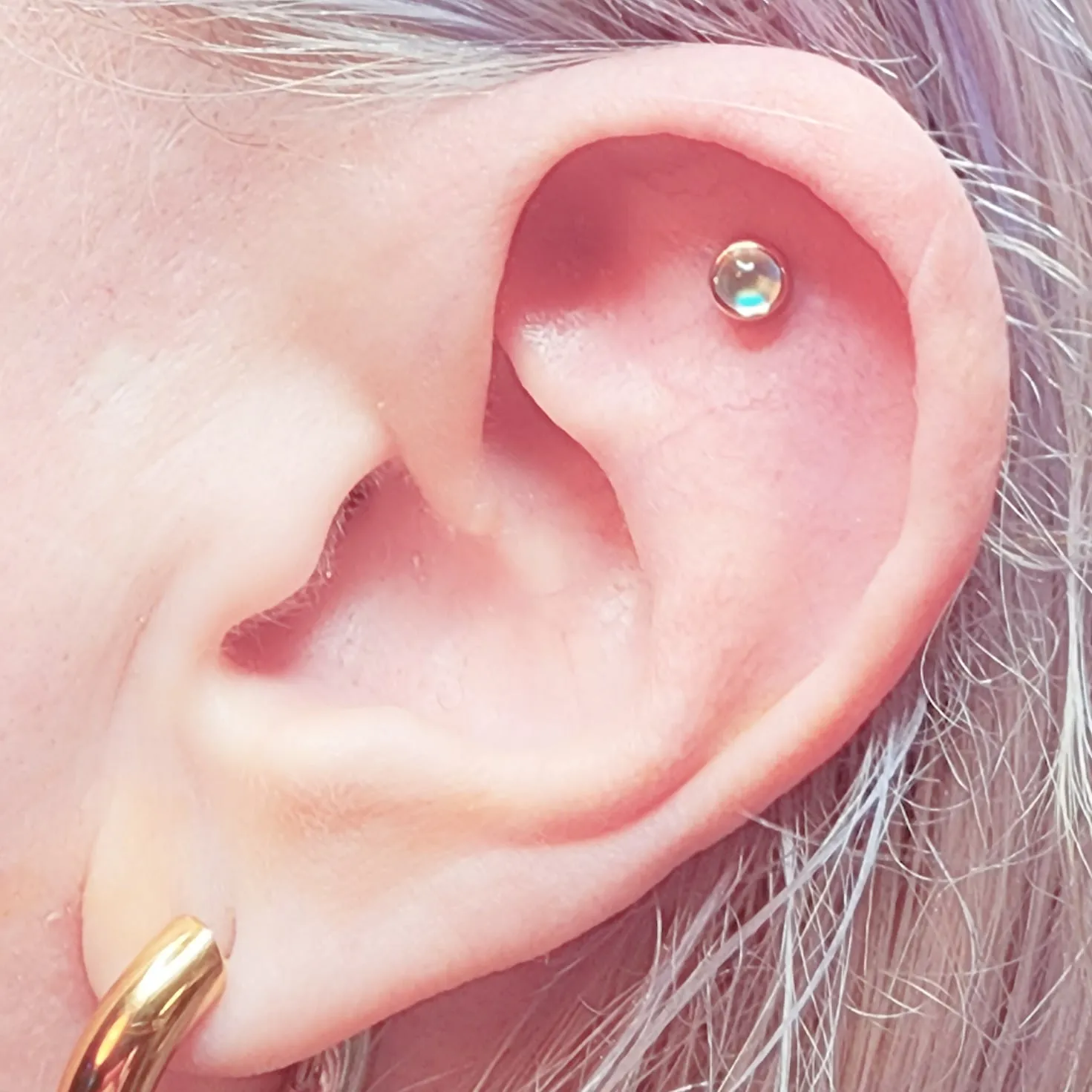 Threaded  end 14Kt rose gold Moonstone bezel